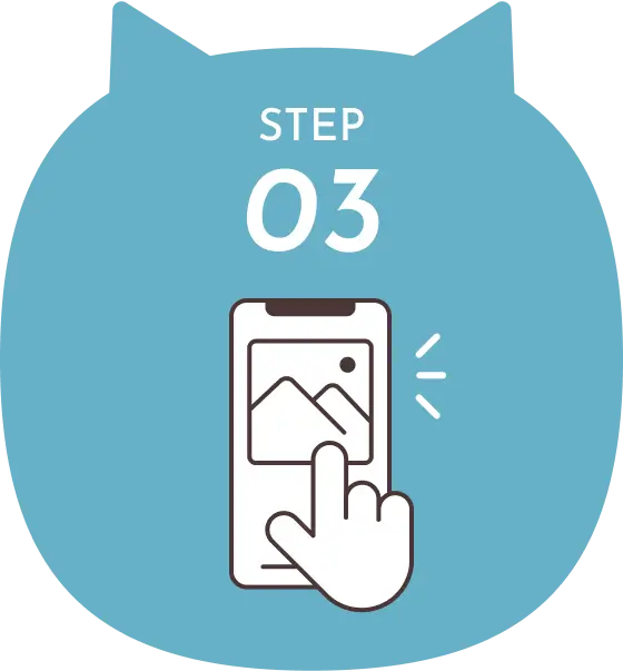STEP3